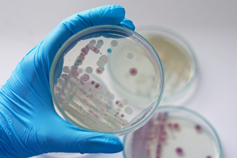 Инфекционист развеял устоявшийся миф о лечении хламидиоза