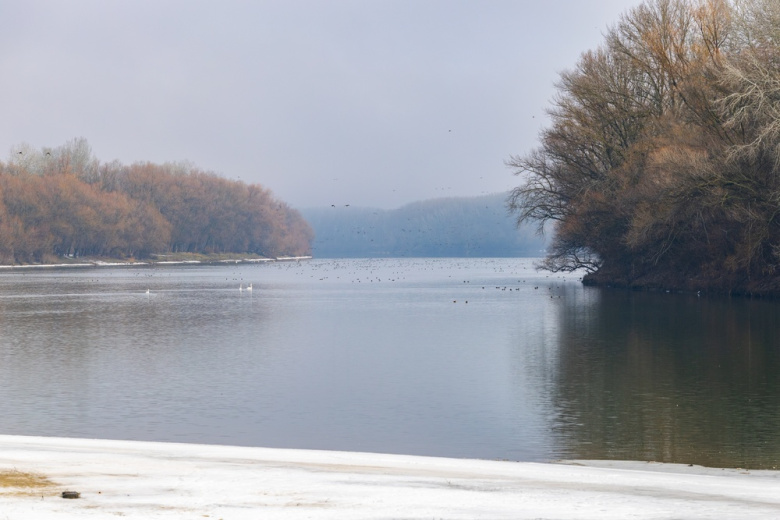 Молдавию обвинили в попытке скрыть экологическую катастрофу